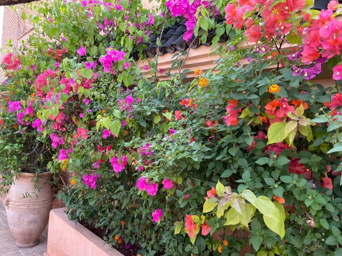 Riad Zouhour Marakeş Dış mekan fotoğraf